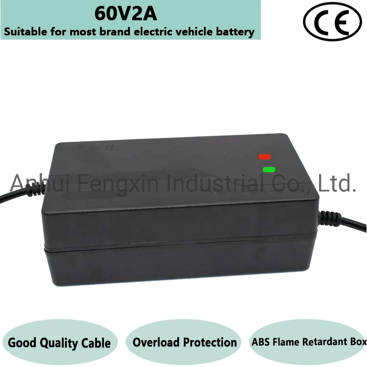 60V Storage Car Battery Charger for Electrical Bicycle/ Car Battery