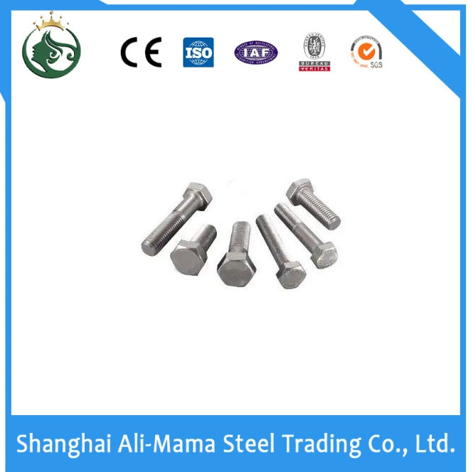 High Strength Bolt Stainless Steel Nut Grade 4.8/8.8/10.9/12.9