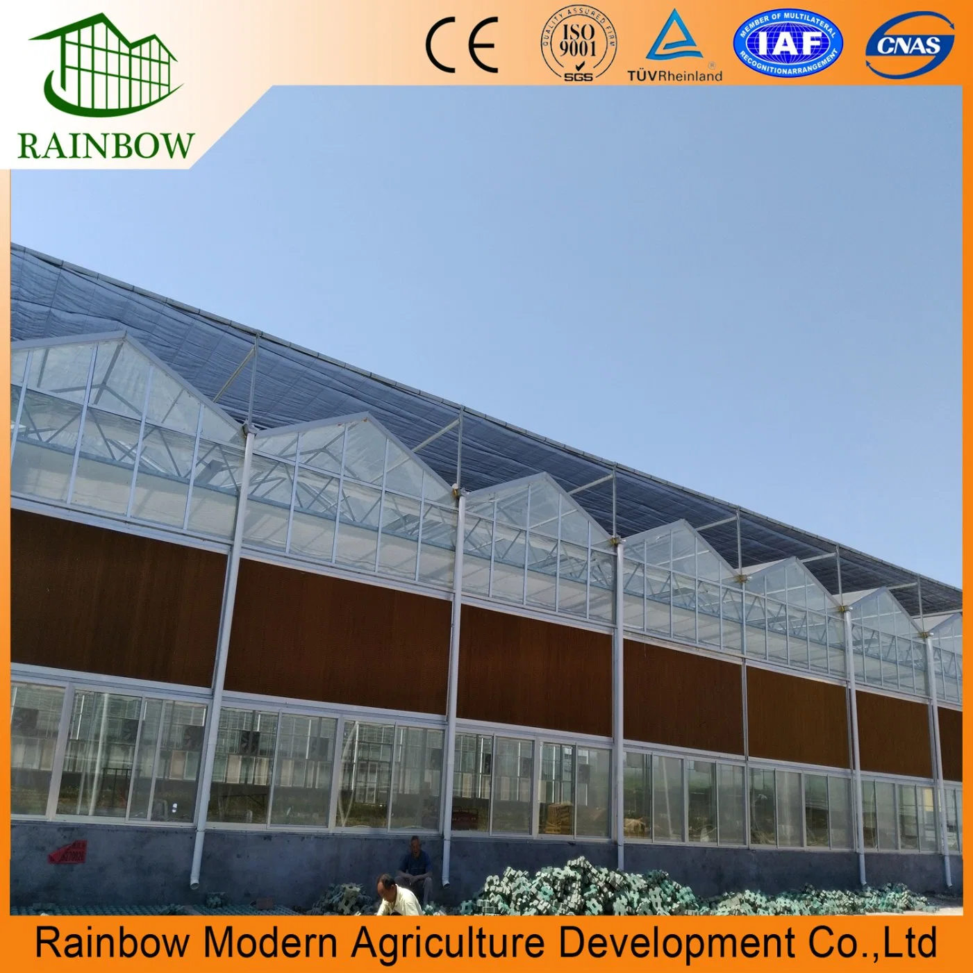 Agriculture Arched Roof Greenhouse Factory Supply