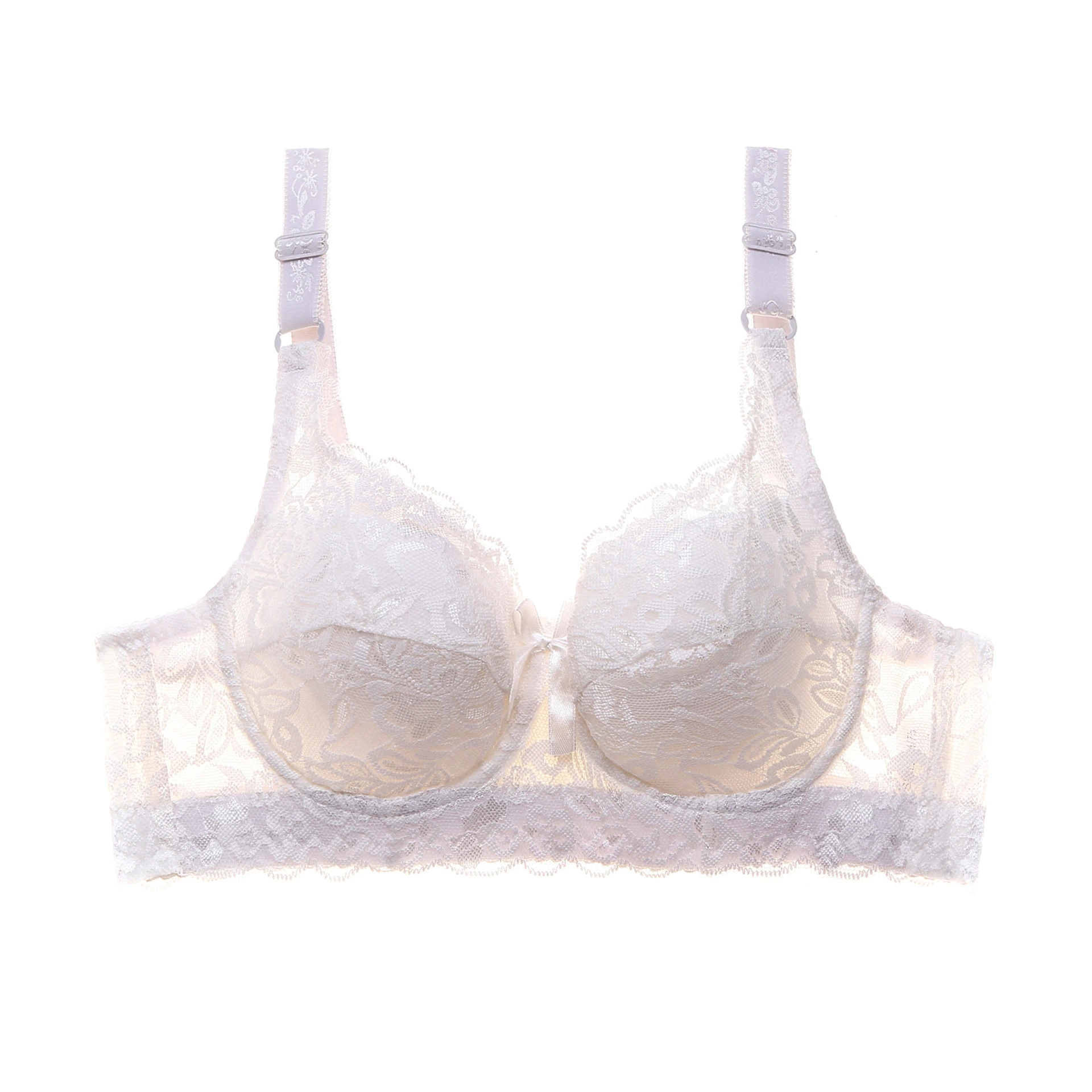 Wholesale/Supplier Plus Size Bra Lace Sexy Ladies Lingerie