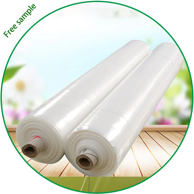 UV Green House Polyethylene Film Greenhouse 6 Mil Plastic Roll Cover with Competitive Price