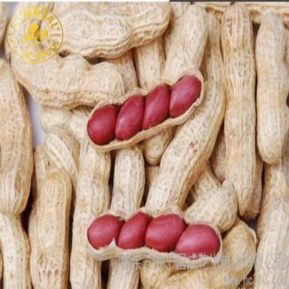 Peyted Peanut in Shell/Red Skin Peanut in Shell/Premium Quality من الصين