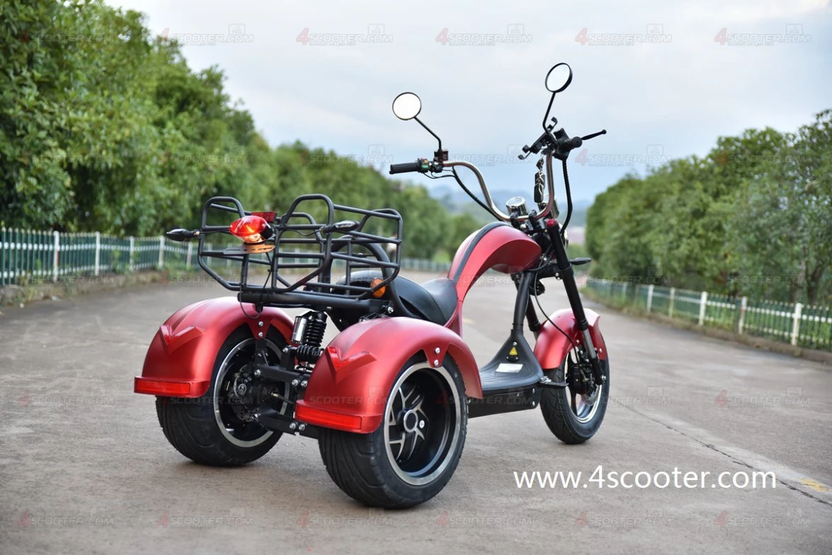 Comercio al por mayor fuera de carretera con una carga pesada CEE Scooter eléctrico de AOC 5000W