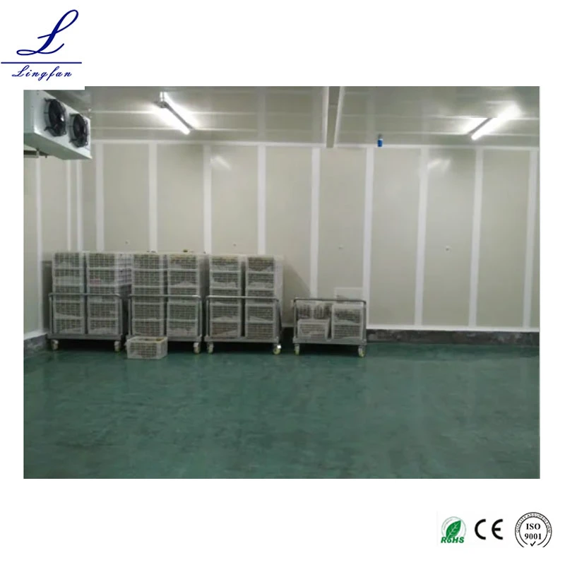 Cold Storage Room PU Insulation Panel 120mm Thinckness Low Temperature Walk in Freezer for Slaughter House