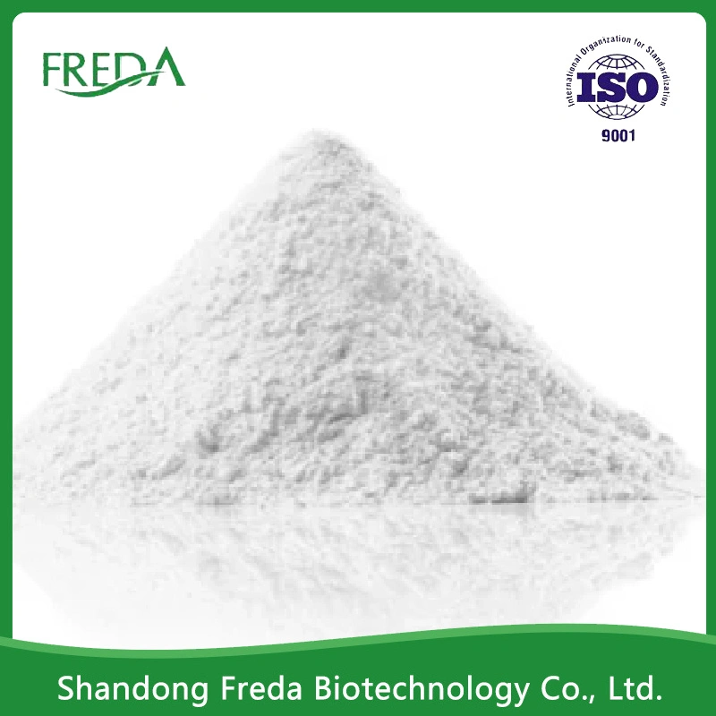 Top Food Grade Additives Ingresients Preservatives Powder Nisin Food Preservatives