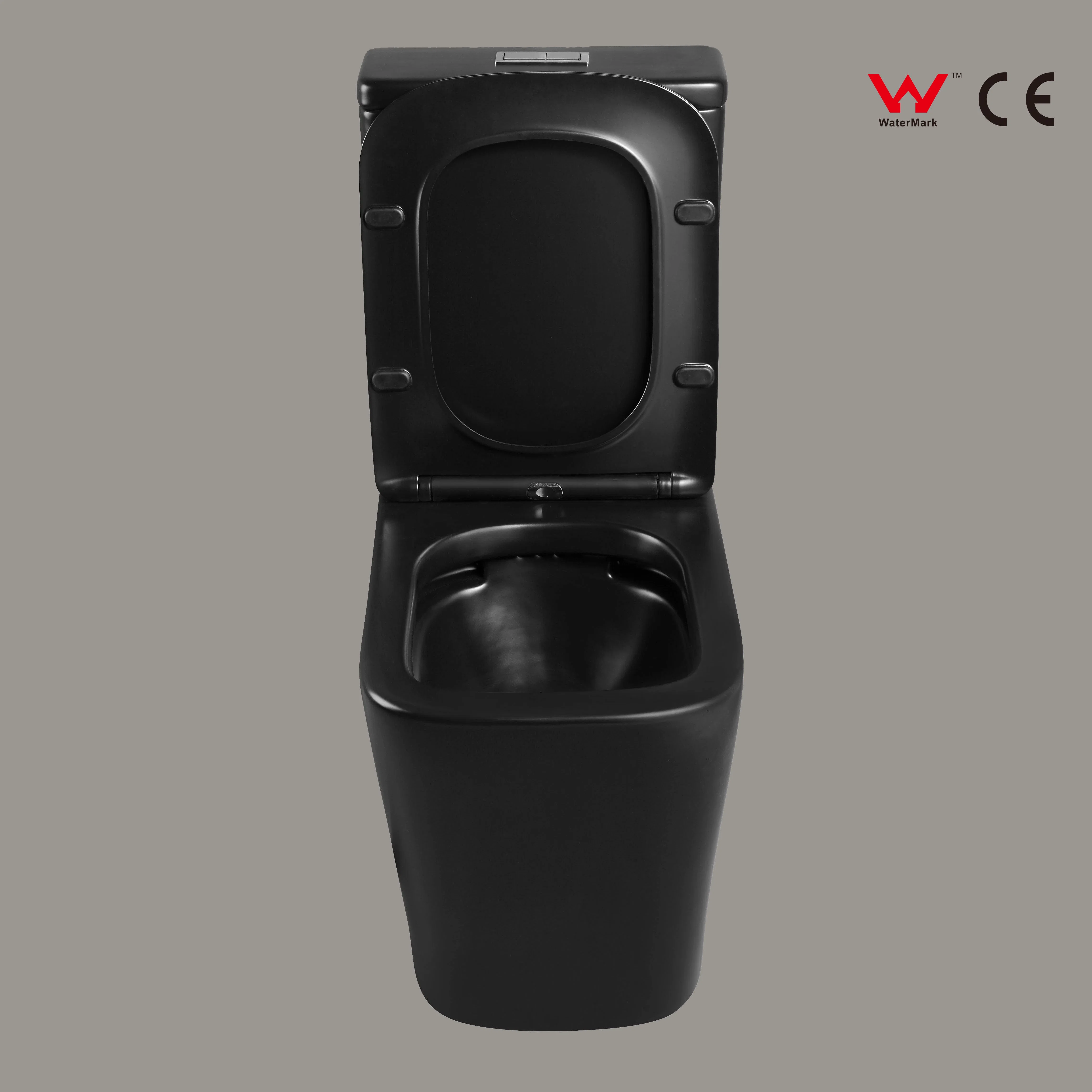 CE Watermark Two Piece Closestool Rimless Siphonic Matte Black Wc Bowl Toilet