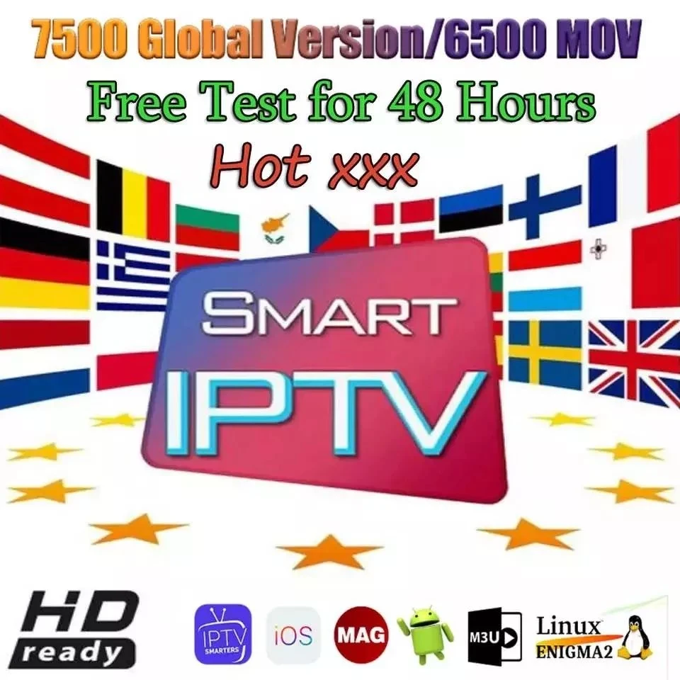 HD abonnement IPTV panneau revendeur assistance IPTV M3U Mag STB Avec essai gratuit 24 heures Test Code IPTV