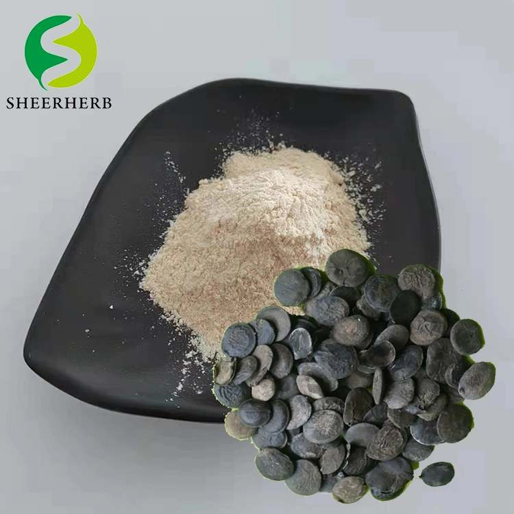 5htp Factory Direct Sale High Purity in Stock 5htp Best Price L-5-Hydroxytryptophan Griffonia Seed Extract 99%