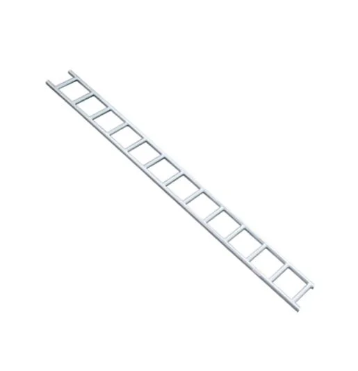 6m HDG Painted Scaffold Ladder Beam for Roof Building