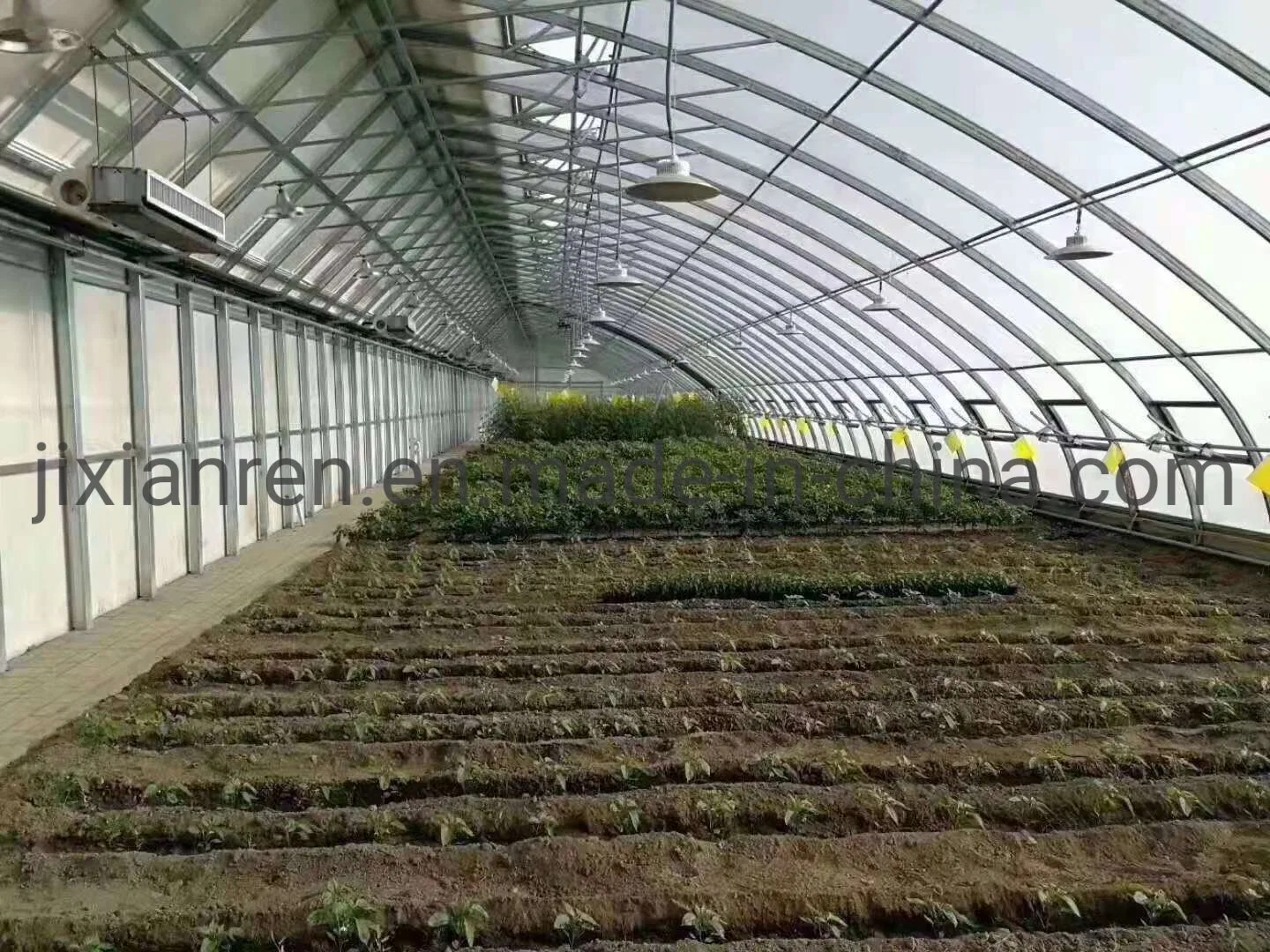 Commercial and Easily Installed Multi Span Greenhouse for Agriculture