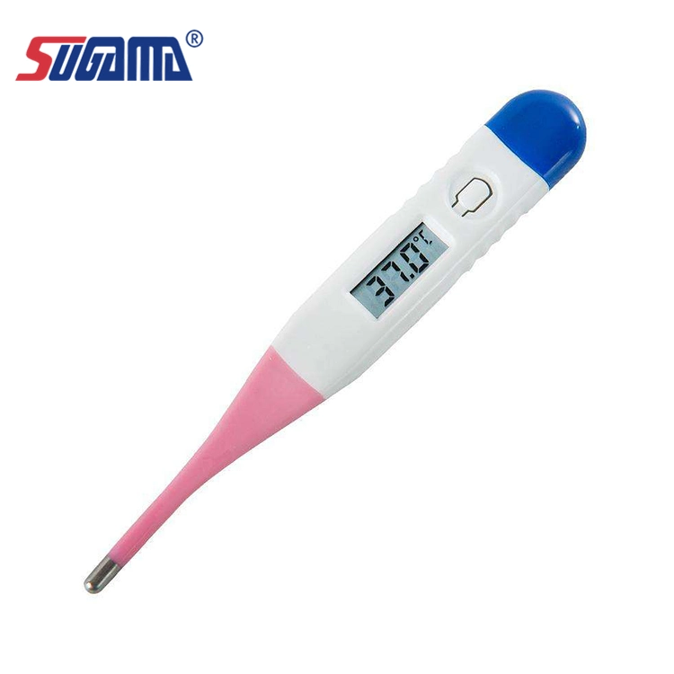 Large Ce thermomètre numérique souple