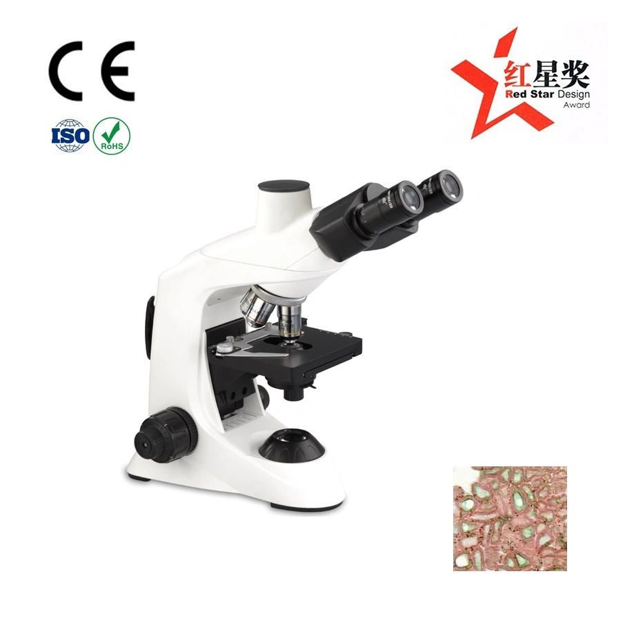 Chinese Traing Laboratory Instrument Trinocular Biological Microscope for Olympus Microscope Price