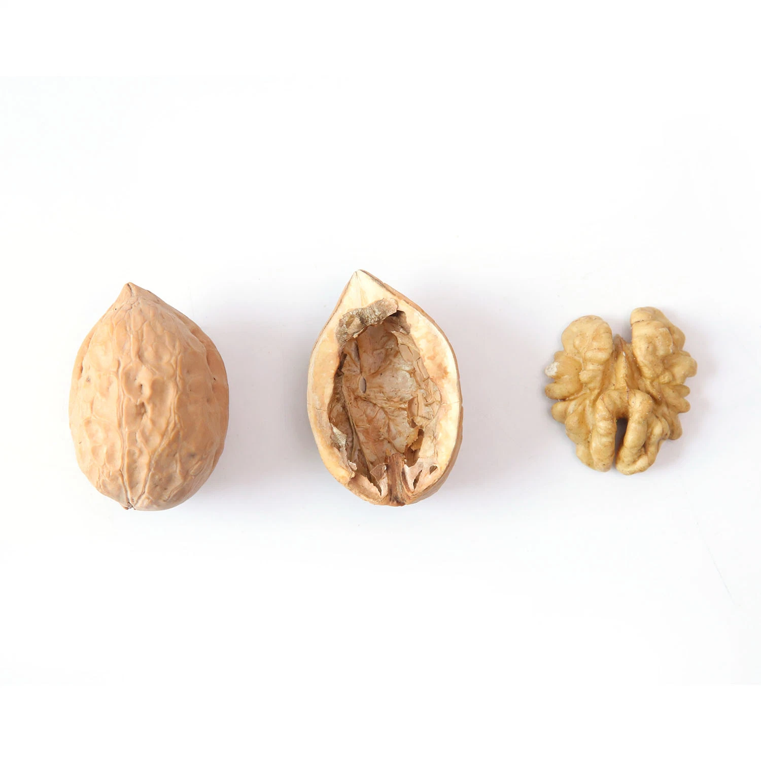 Ceviz Walnuts Xinfeng Walnut Inshell Xingfu China Dried Fruit Good Quality