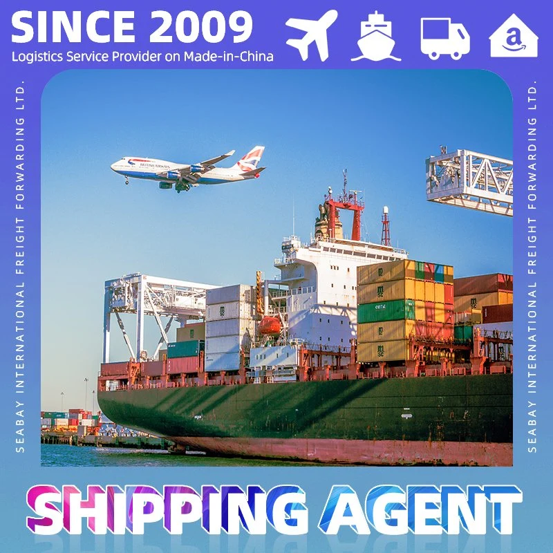 Cargo Ship for Sale or China Competitive Sea Freight Rates to Worldwide