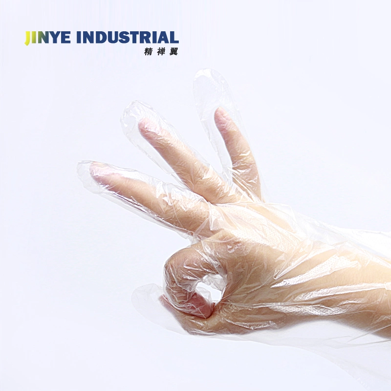 Food Grade Plastic Disposable LDPE Gloves PE Glove HDPE/CPE/TPE Gloves