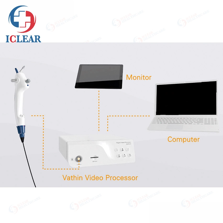 Portable Disposable Single-Use Flexible Video Endoscope