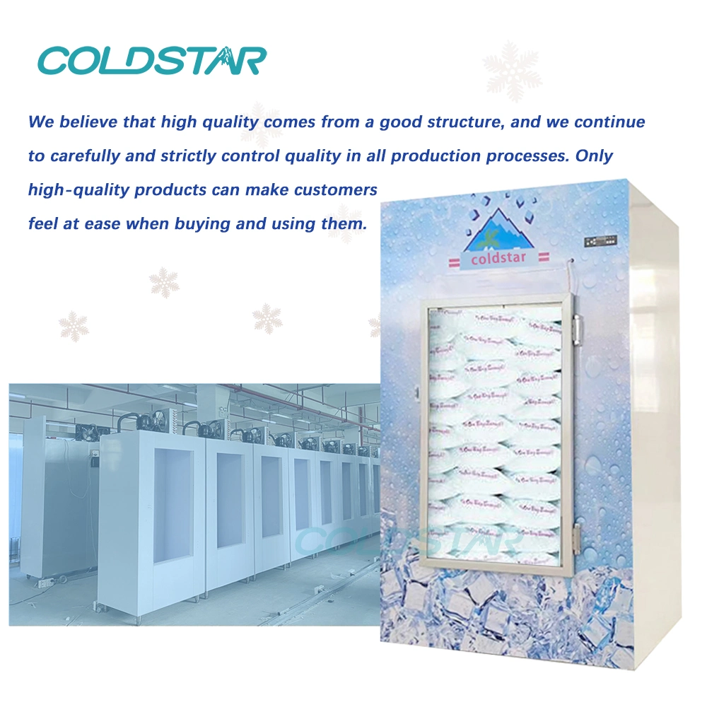 Saudi Cold Wall Glass Door Ice Machine Storage Bin