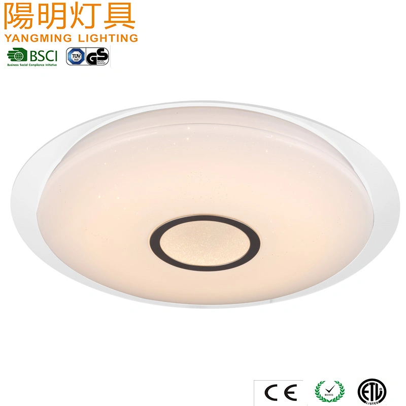 Low Price Ceiling Lighting with LEDs / Energy Saving Entry Light with Acrylic Shade