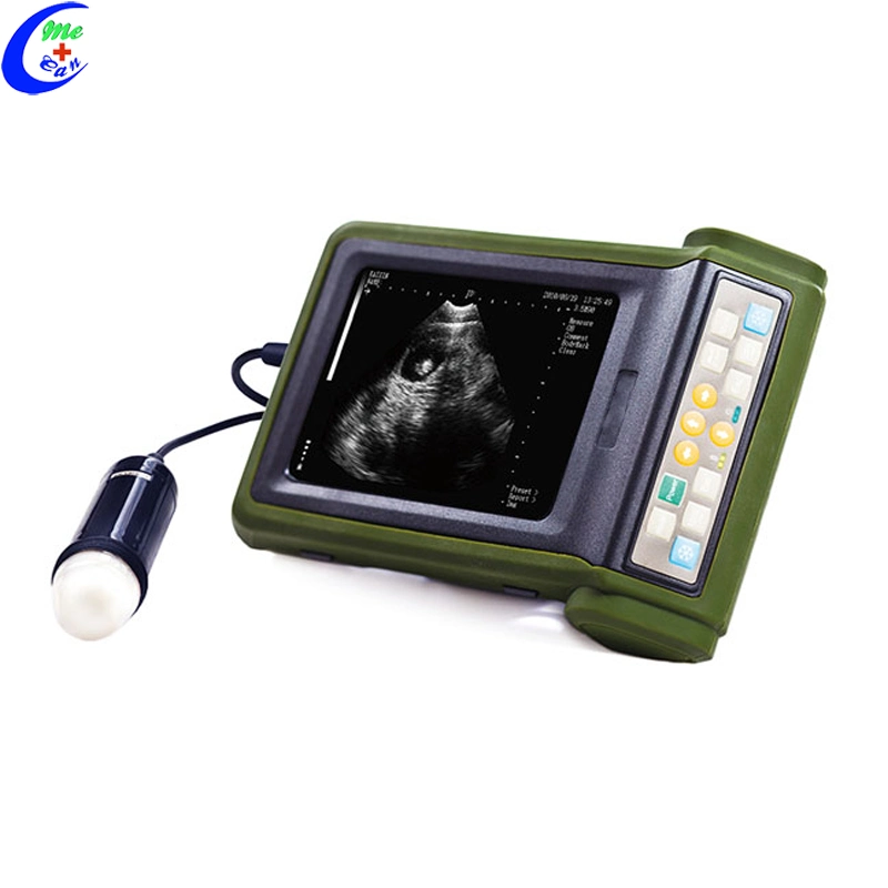 Animal de la grossesse portable sur la promotion du scanner à ultrasons à usage vétérinaire