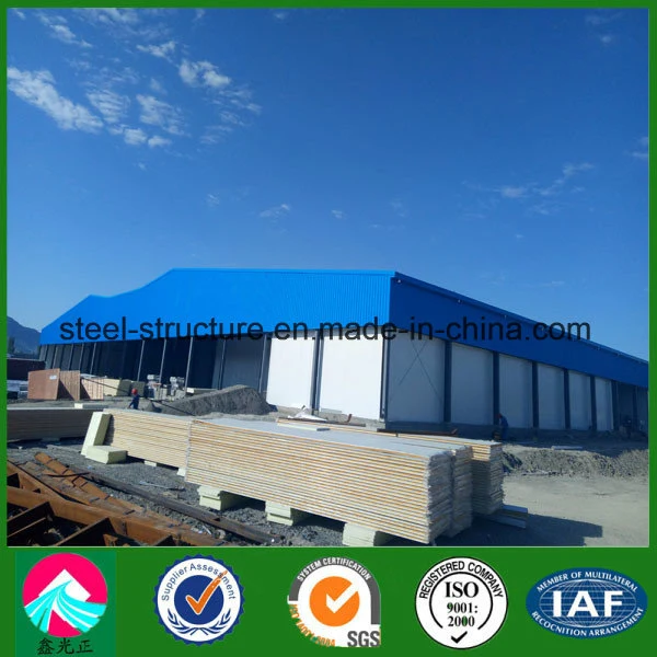 Prefabricated Customized Steel Structure Project Building Cold Storage Room with ISO&SGS Certified