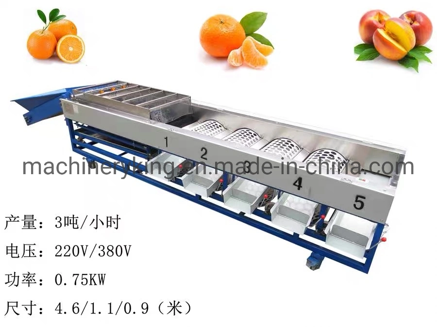 Automatic Electronic Walnut Cherry Tomato Potato Apple Citrus Kiwi Fruit Grading Sorter Sorting Machine for Sale