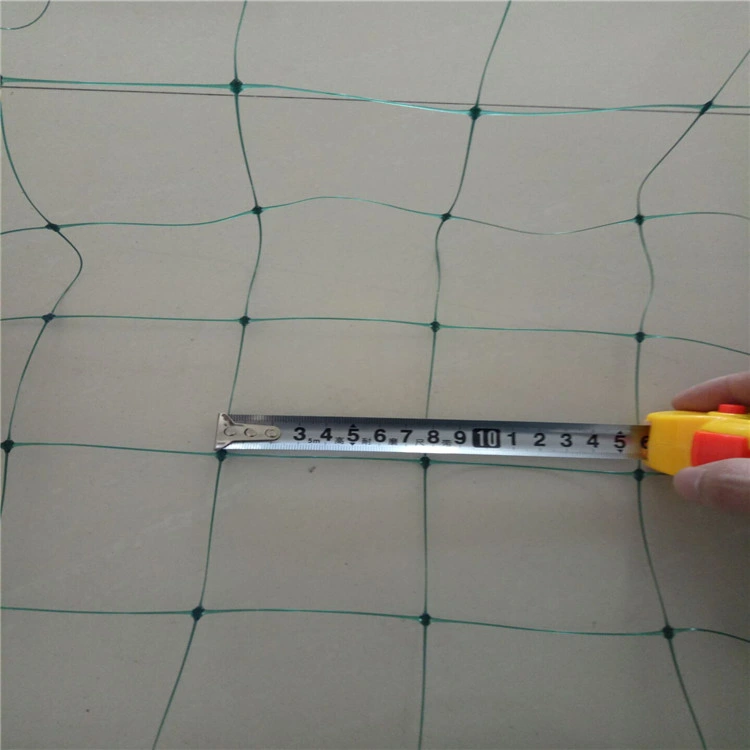 100%New for Vegetable Nursery Cucumber Netting Vine Netting