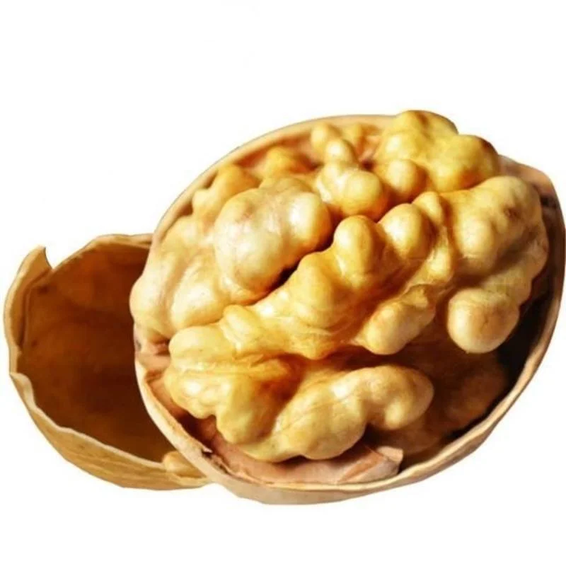 Healthy Snack Top Grade Organic Walnut Kernels Peeled Walnuts Nuts in Bulk From China Manufacturer