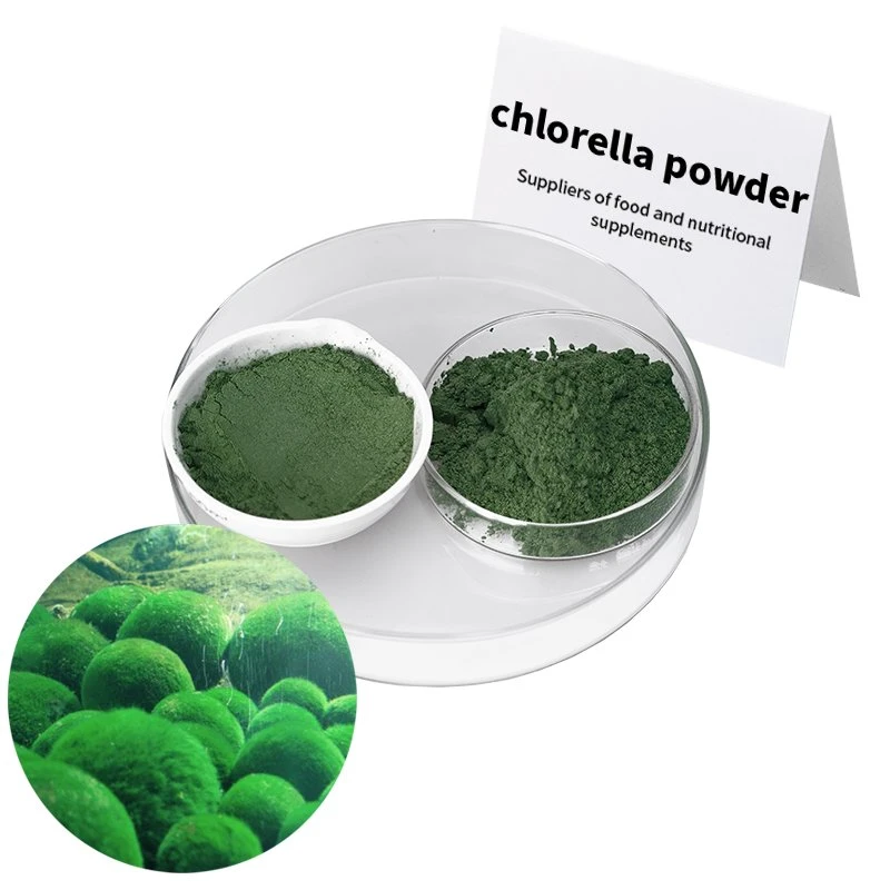 Las algas verdes para un sano intestino y el sistema digestivo en polvo Extracto de la Chlorella