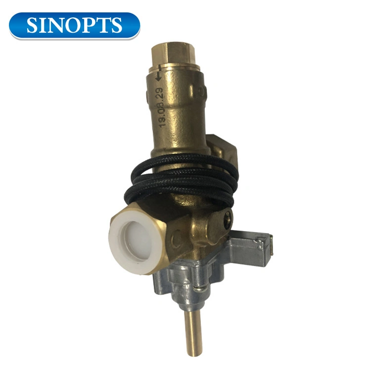 Customized Forging Brass Control Gas Magnet Valve for Oven