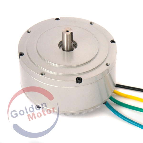 48V 3000W 72V 3KW up to 20kw BLDC Motor Electric Motorcycle Motor for Motorbike Golf car and boat