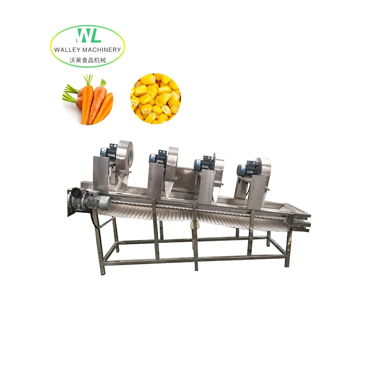 Personnalisation du sécheur de machine d'assèchement par soufflage d'air pour Carrot