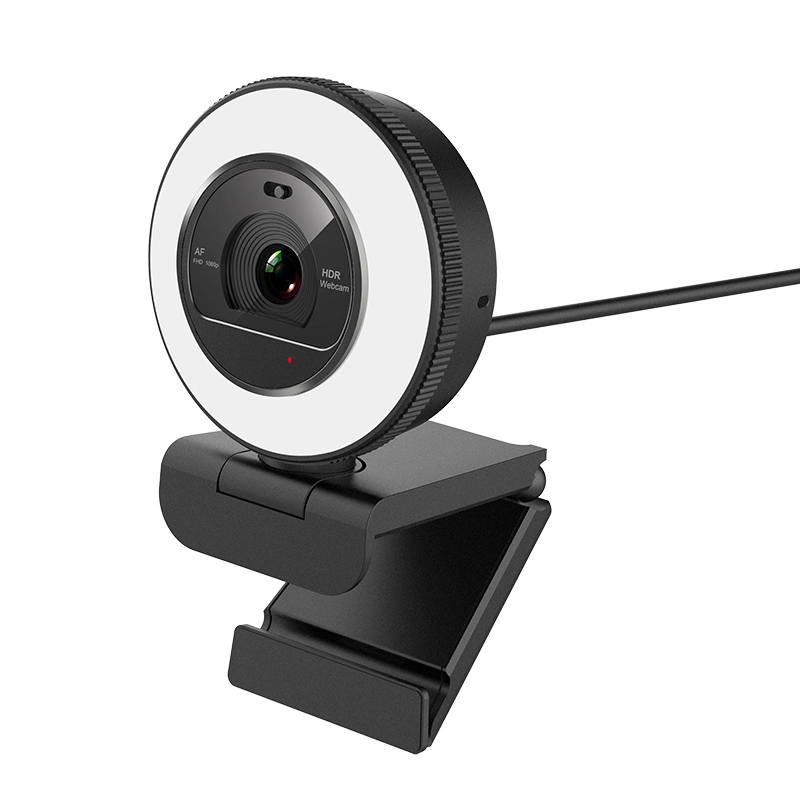 Low Price OEM Webcam 1080P 60fps Af PC USB Web Camera for Videoconferencing with Privacy Cover Light