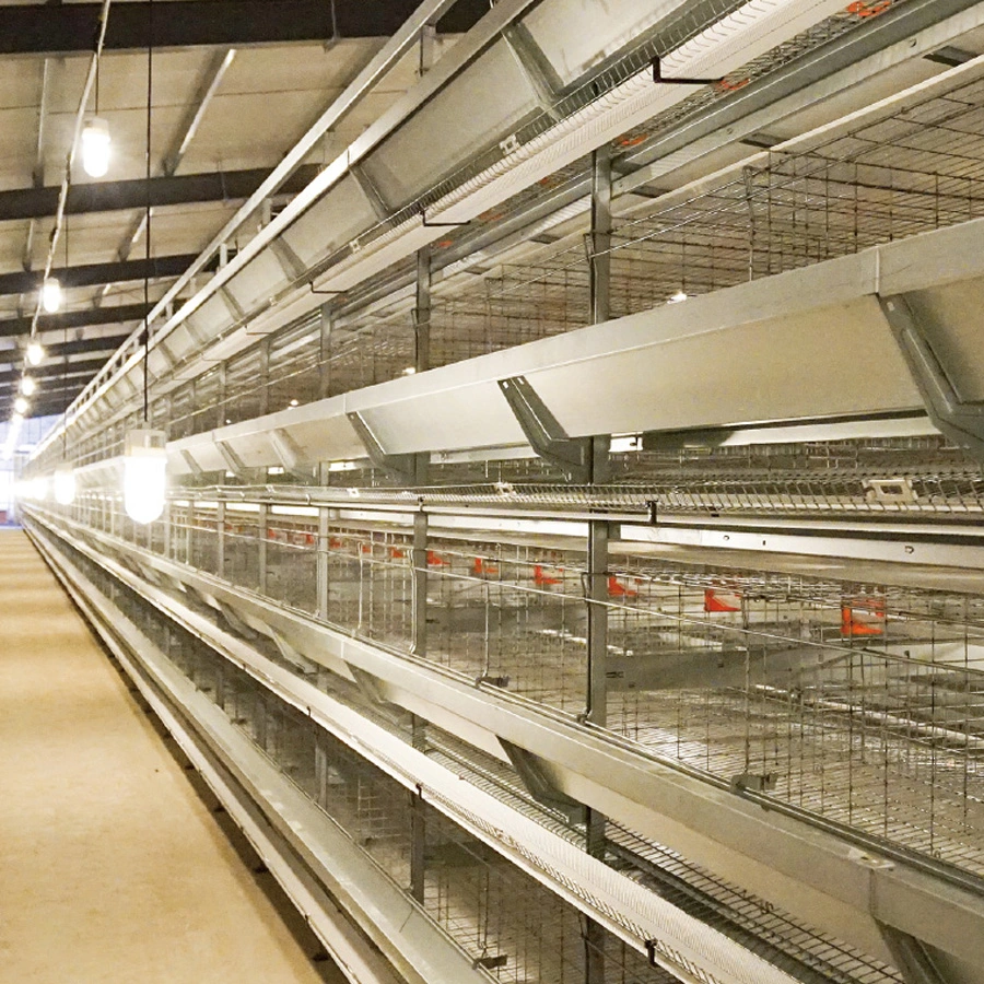 H Type Automatic Chicken Cage for Chicken Farm with Water Supply System Poultry Battery Cage for Sale