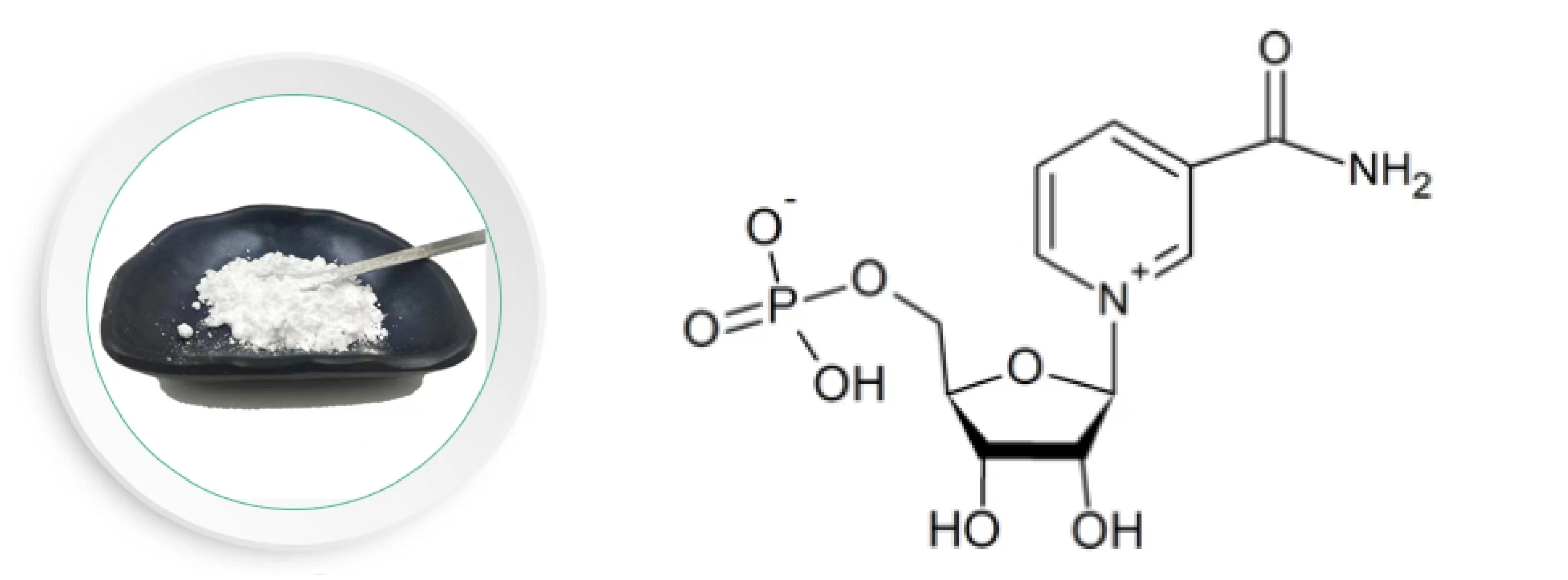 Nmn Powder Cosmetic/ Food Grade Raw Material Nicotinamide Mononucleotide 1094-61-7