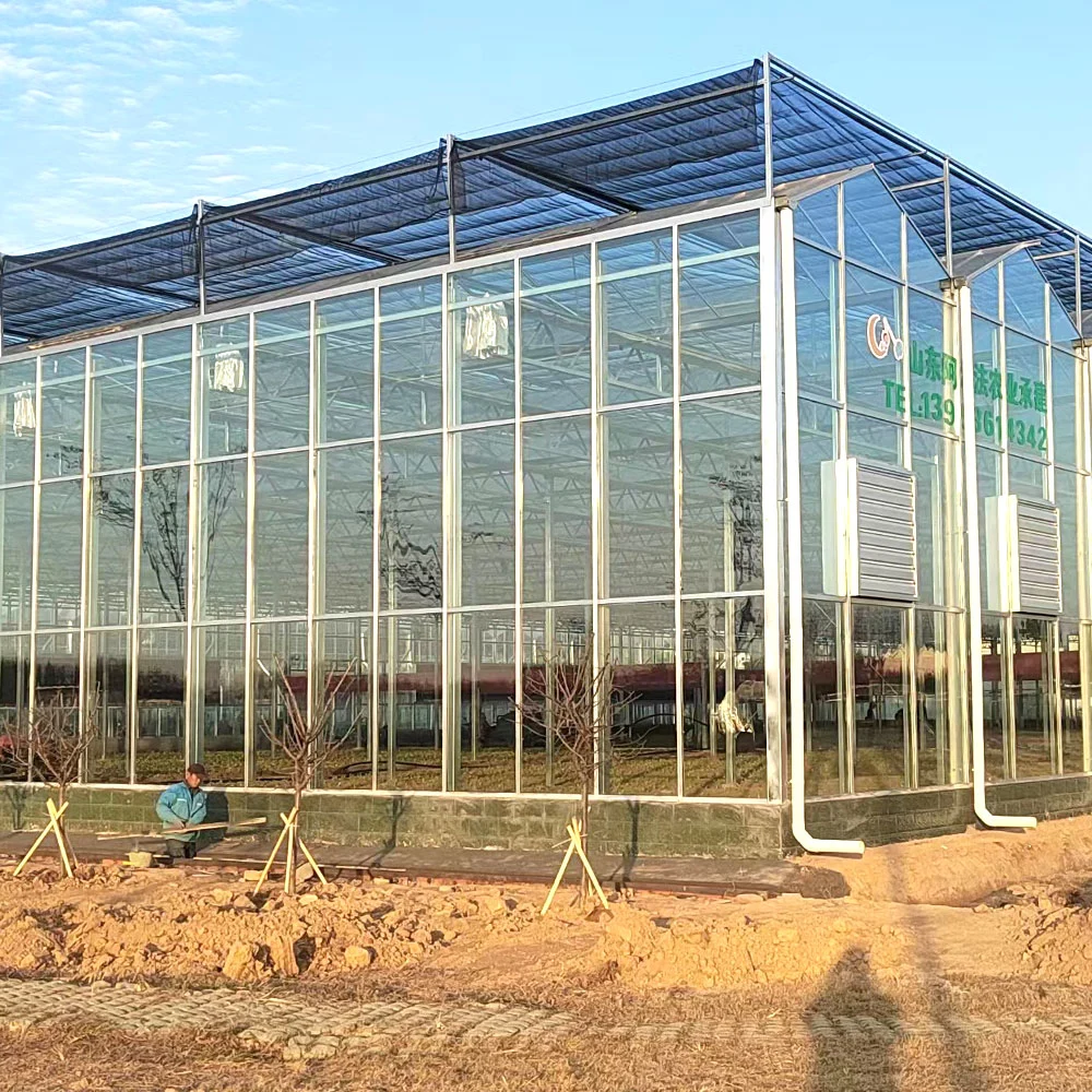 Venlo Single/Vidro duplo com efeito de estufa hidroponia/resfriamento/sistema de ventilação para produtos hortícolas/Flores/Tomato Fazenda/Jardim/Eco Restaurante