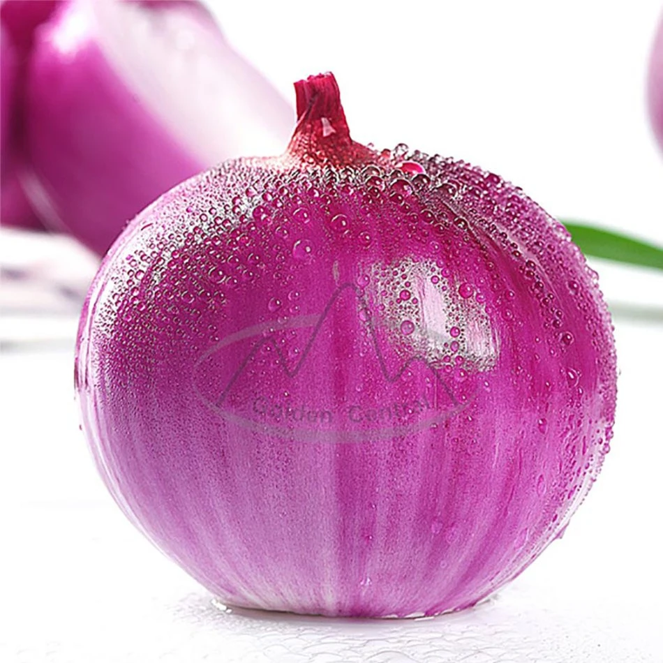 Chinês Natural vegetal Red Onion Atacado ao mundo