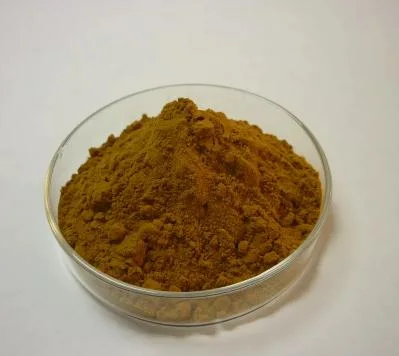 High Purity 100% Natural Barbury Wolfberry Fruit P. E. Powder Goji Extract