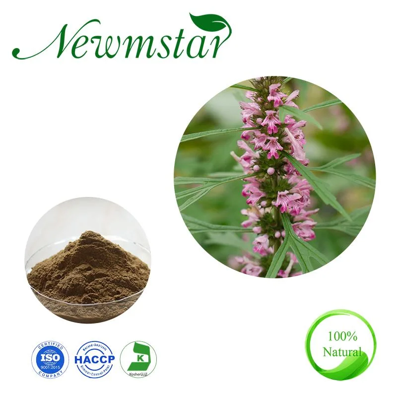 Natural Plant Motherwort Extract Morherwort Herb P. E for Women Health Care