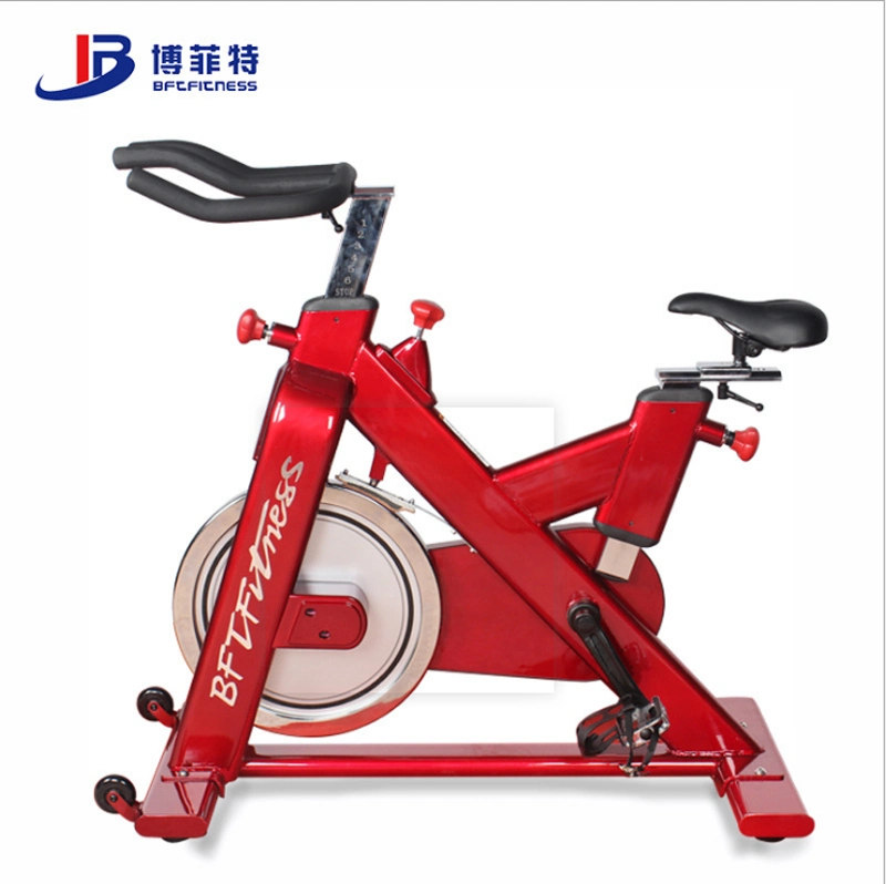 2021 Magnetic Spin Bike, Manufacture Body Bike Spinning Bse05