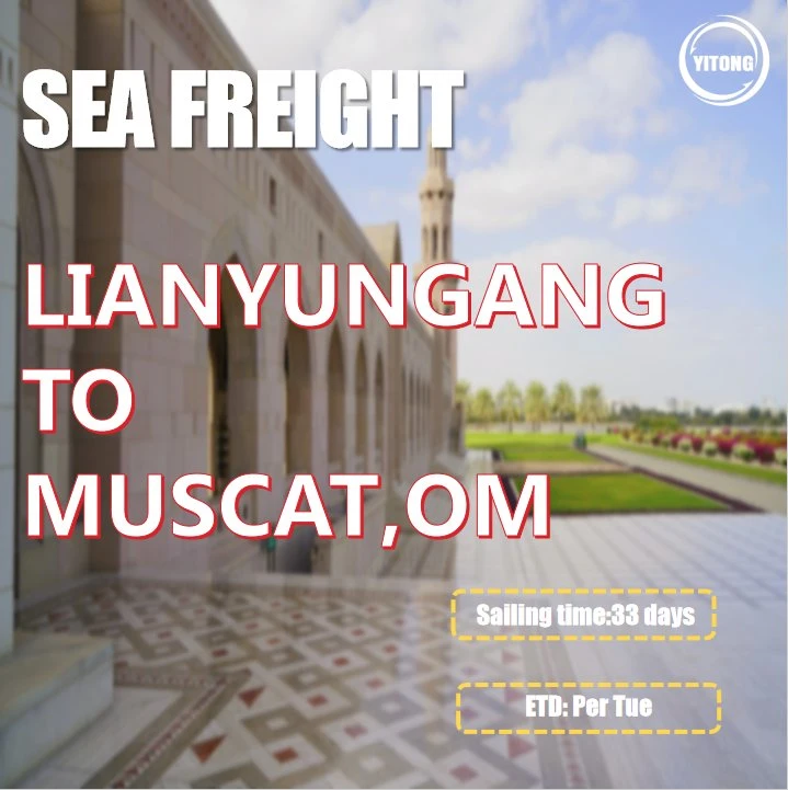 International Shipping by Sea From Shenzhen to Muscat Oman