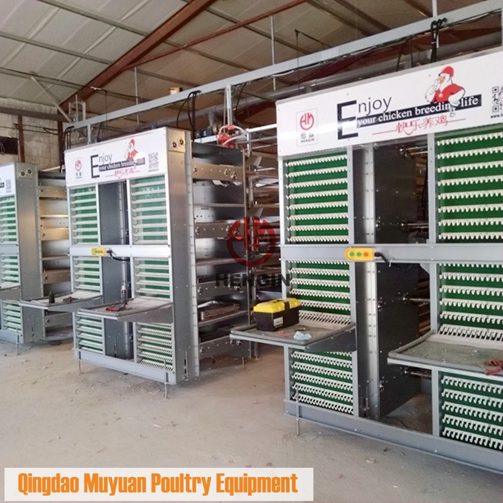 Chicken Poultry Farm Layer Coop for Livestock Machinery Equipment