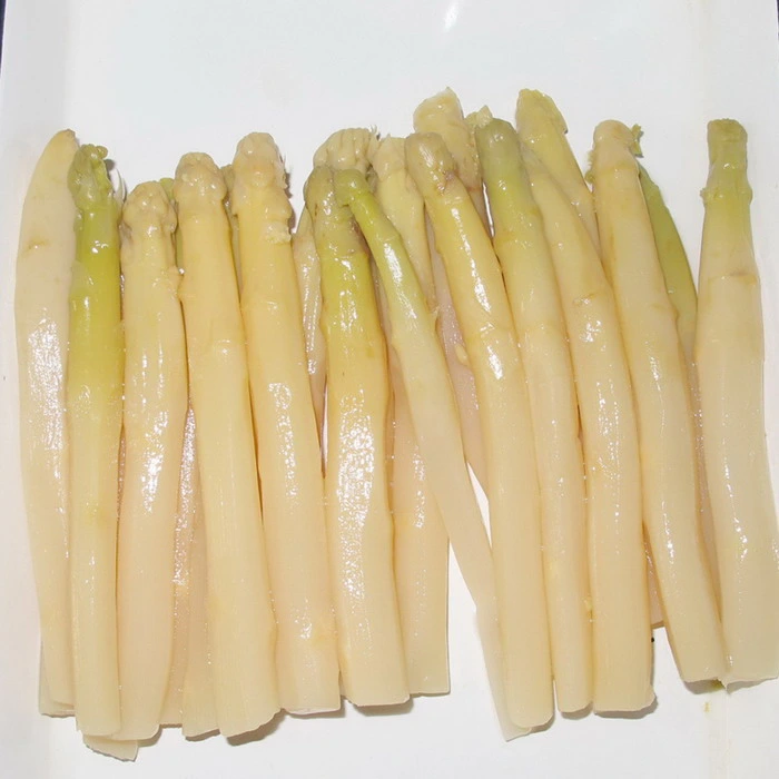 Fresh Canned White Asparagus in Glass Jar