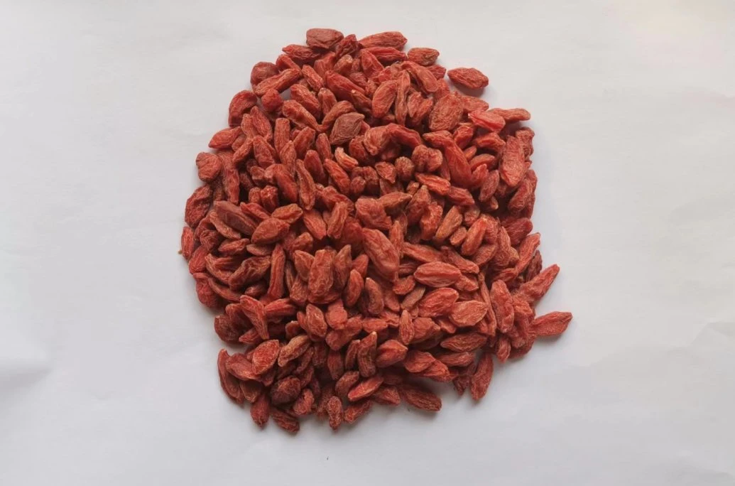 Organic Goji Berries Benefit Food to Health Factory Supply Directly