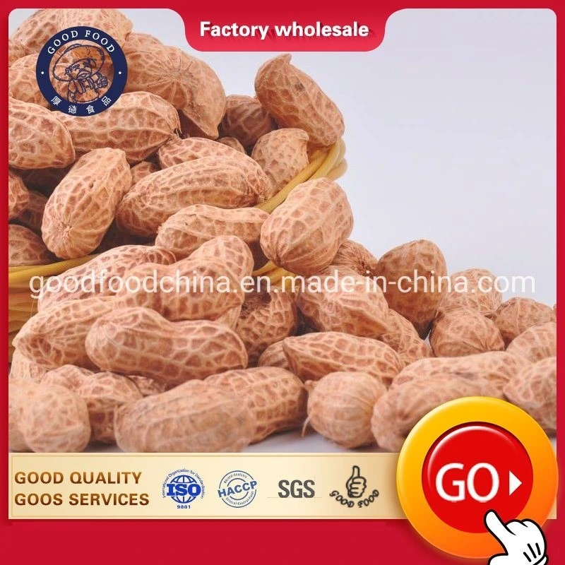 Price Cheap Chinese Peanuts in Shell with Competitive Price