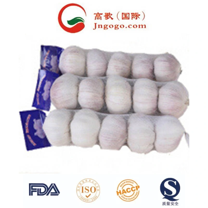 New Crop First Quality Fresh Garlic Supplier (4.5cm, 5.0cm, 5.5cm)