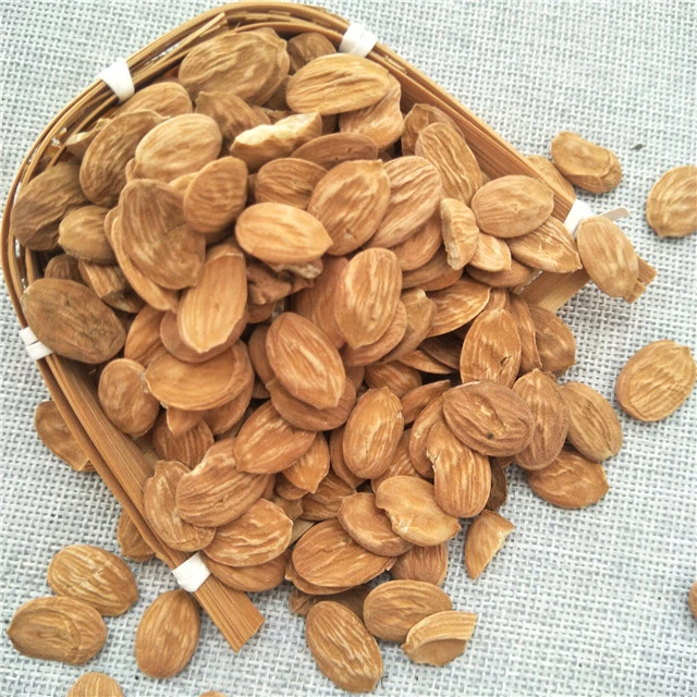 Tao ren Wholesale/Supplier dried peach kernel peach seeds for sale