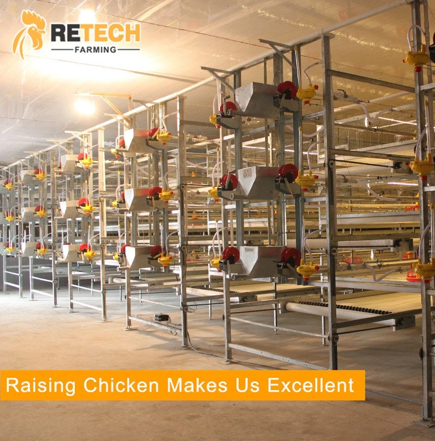 Factory Selling Chicken Cage& for Layer,Broiler, Pullet