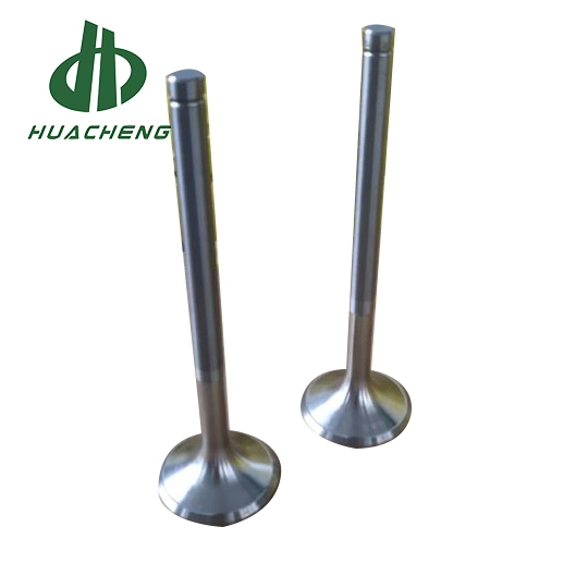 Marine Power Diesel Parts Intake and Exhaust Valve Engine