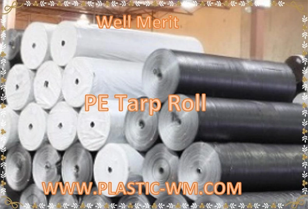 PE Material Coated Tarpaulin Plastic Tarp in Roll