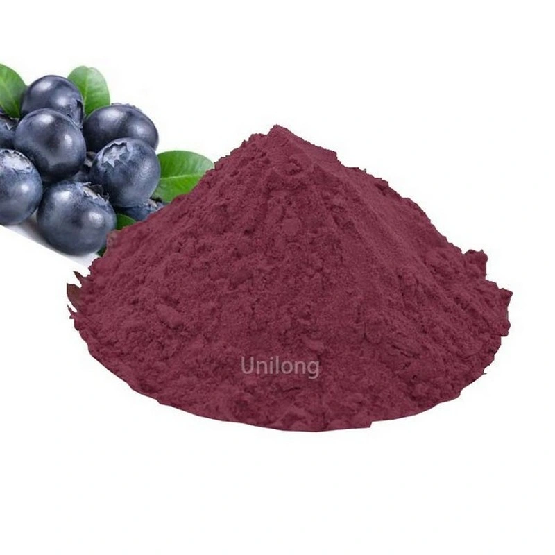 Hot Sales 100% Blueberry Fruit Powder Frozen CAS 84082-34-8 Blueberry Extract